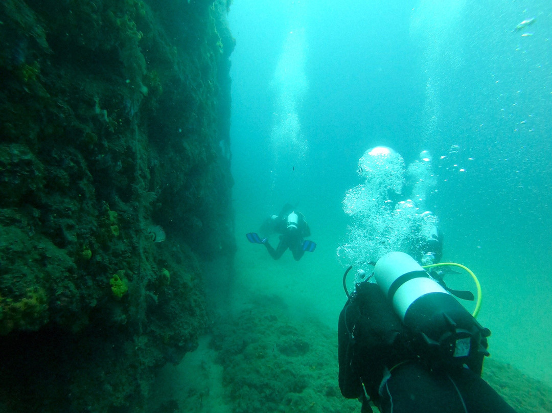 Nemo Scuba Diving Resort景点图片