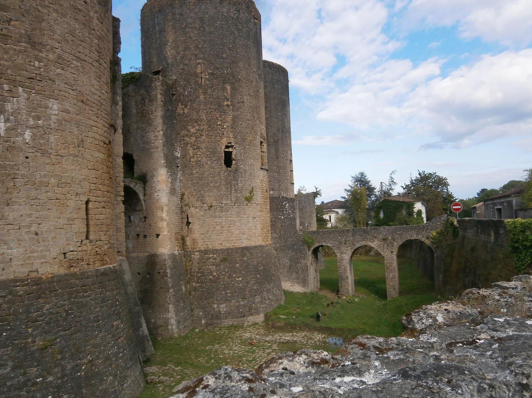 Château de Villandraut景点图片