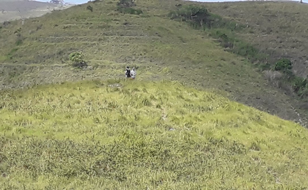 Teletubbies Hill景点图片
