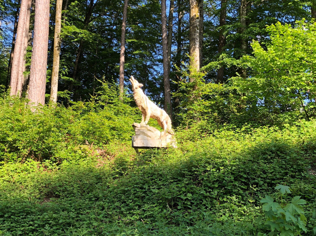 Wildpark-布里恩茨必去景点