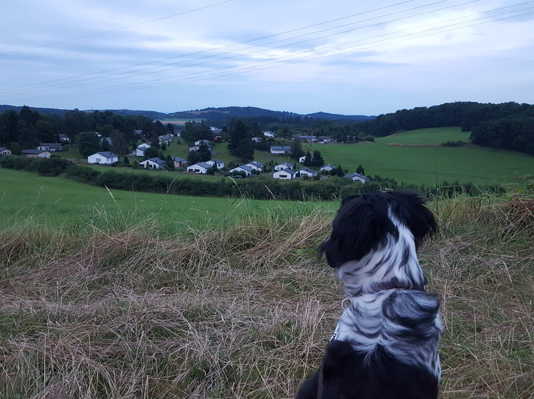 Feriendorf Dronkehof