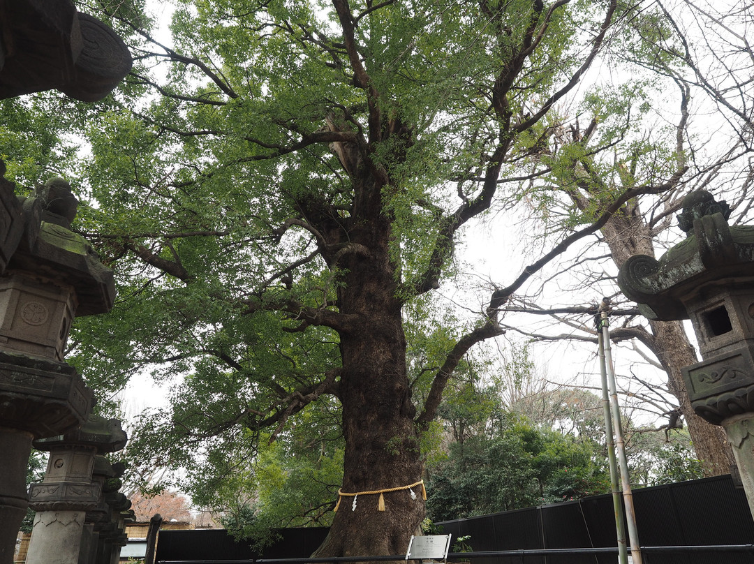 Okusu-Uenokoen必去景点