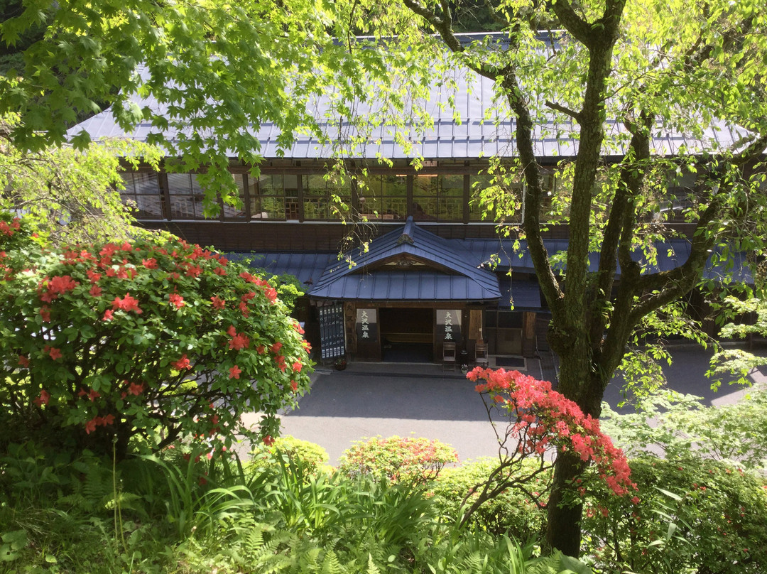 Osawa Onsen Sansuikaku主图