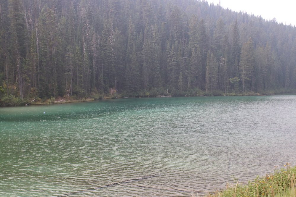 Olive Lake景点图片