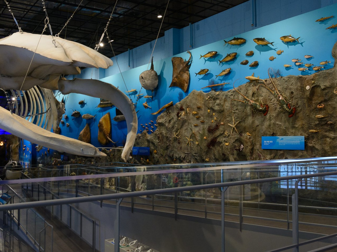 Ttangkkeut Marine Natural History Museum-海南郡必去景点