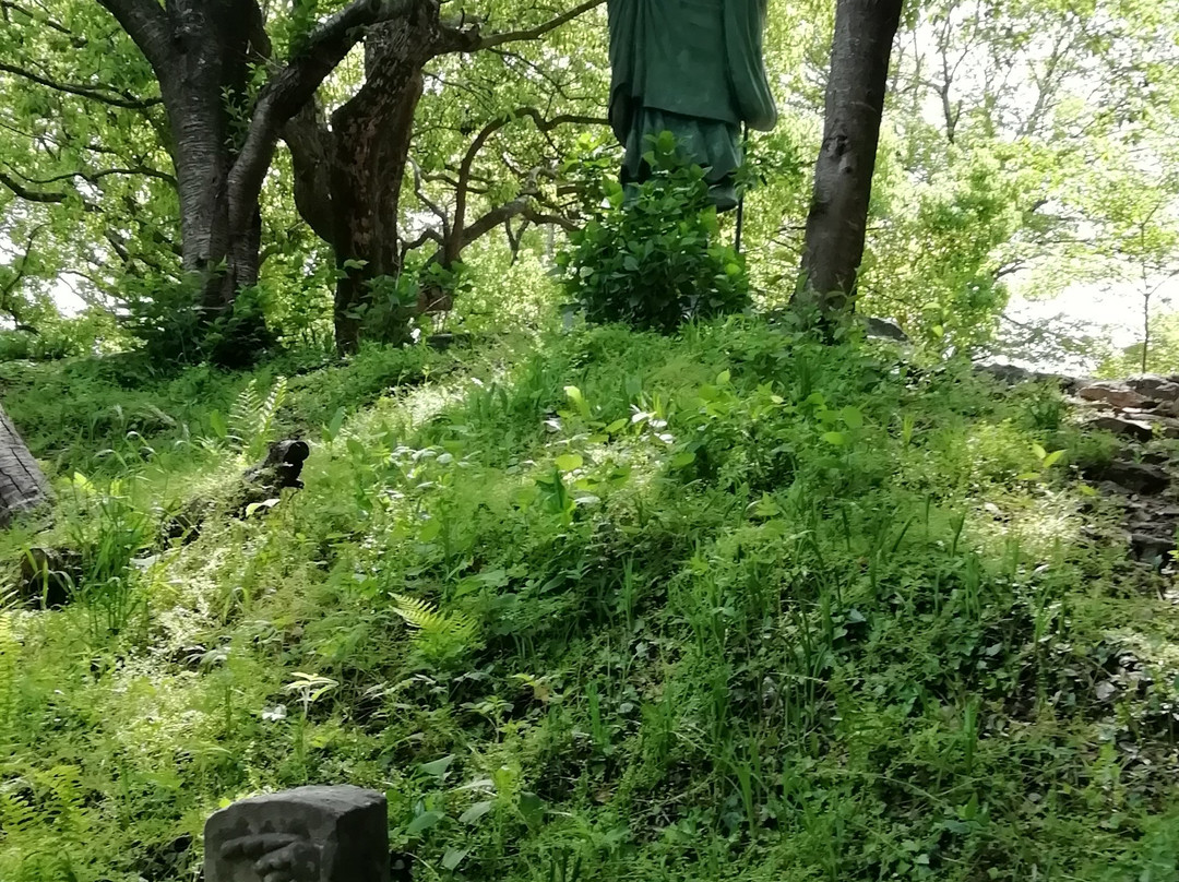 Onzanji Temple-小松岛市必去景点