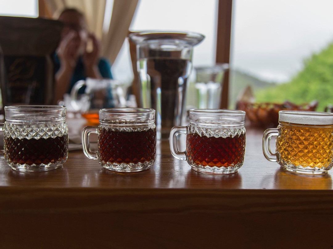 Lagunas Adventures on The Janson Coffee Farm景点图片