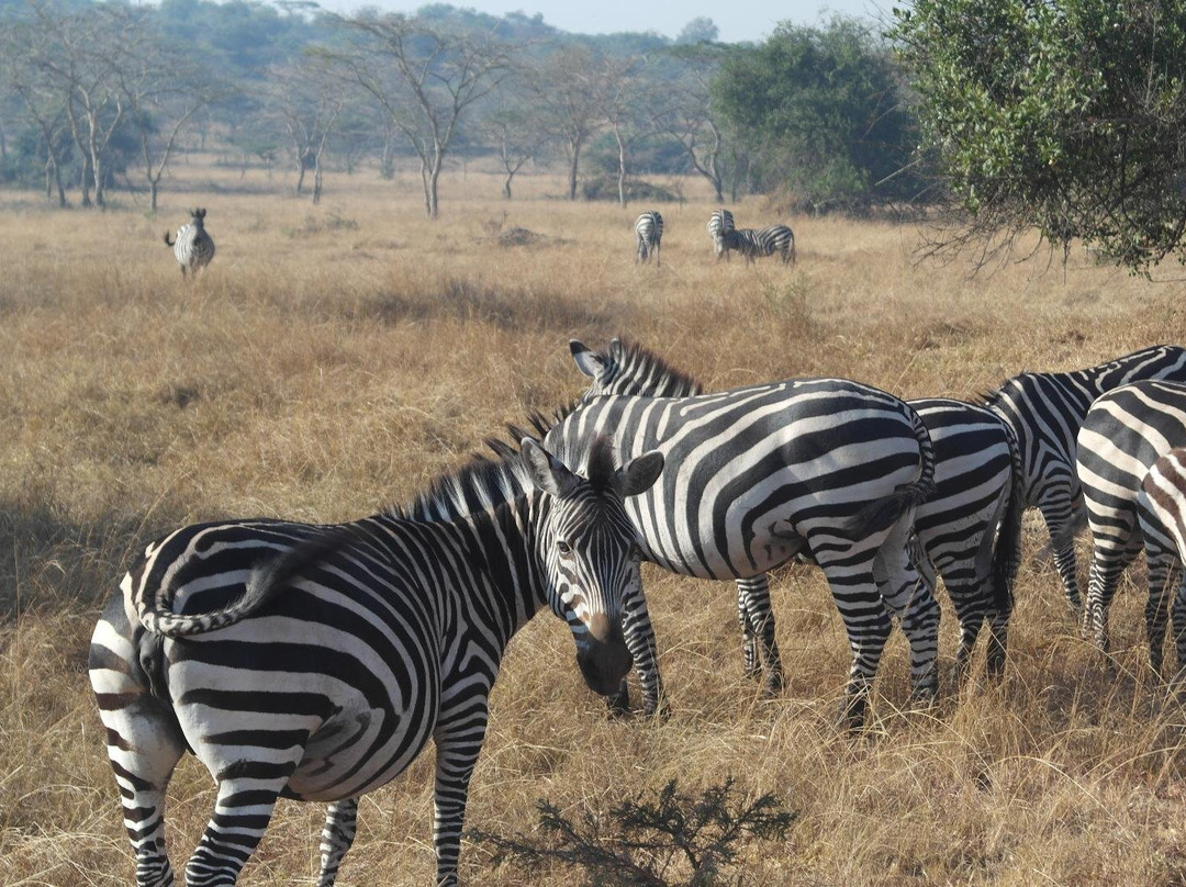Skyplus Aviation And Travel Uganda-恩德培必去景点