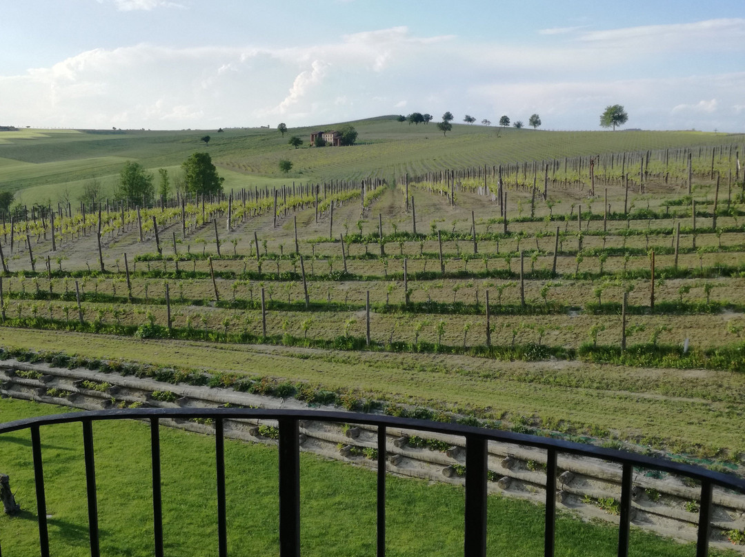 Tenuta Montemagno Relais & Wines主图