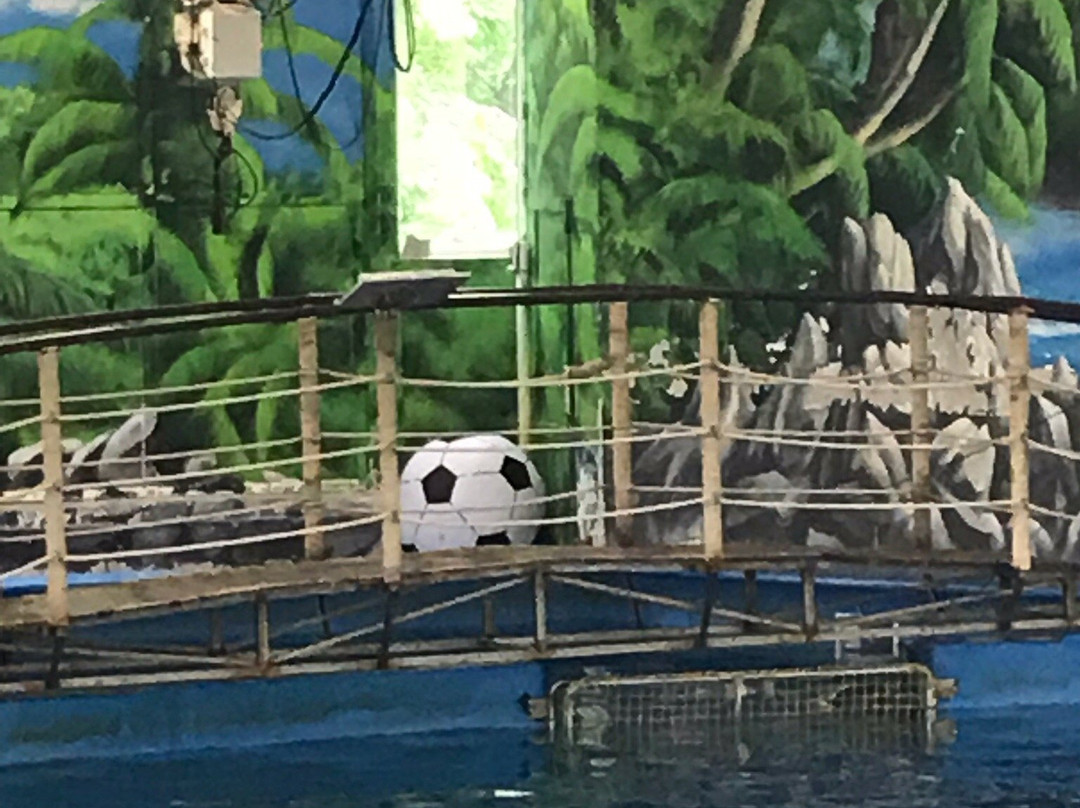 Dolphinarium Atlantida-下诺夫哥罗德必去景点