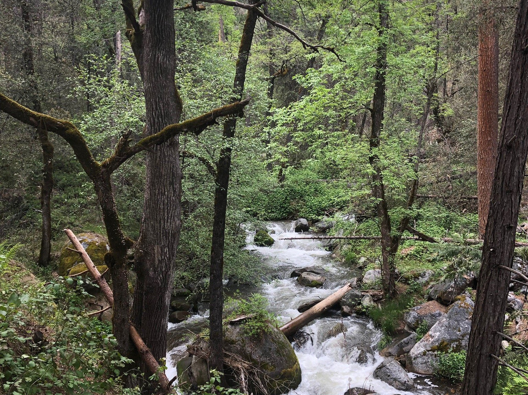 Lewis Creek Trail-奥克赫斯特必去景点