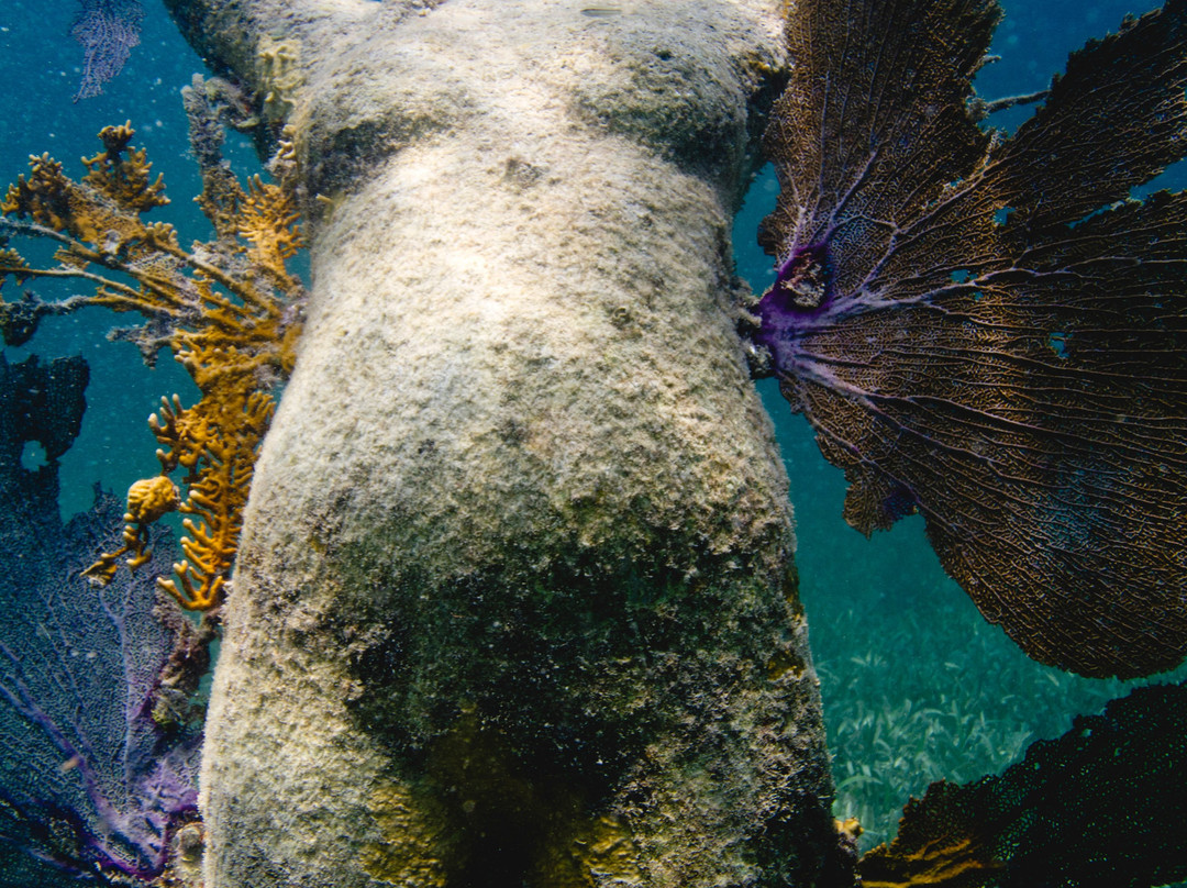 Travel Art Cancun-坎昆必去景点