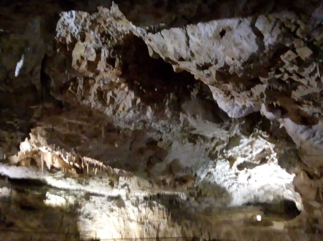 Grotte de la Luire景点图片