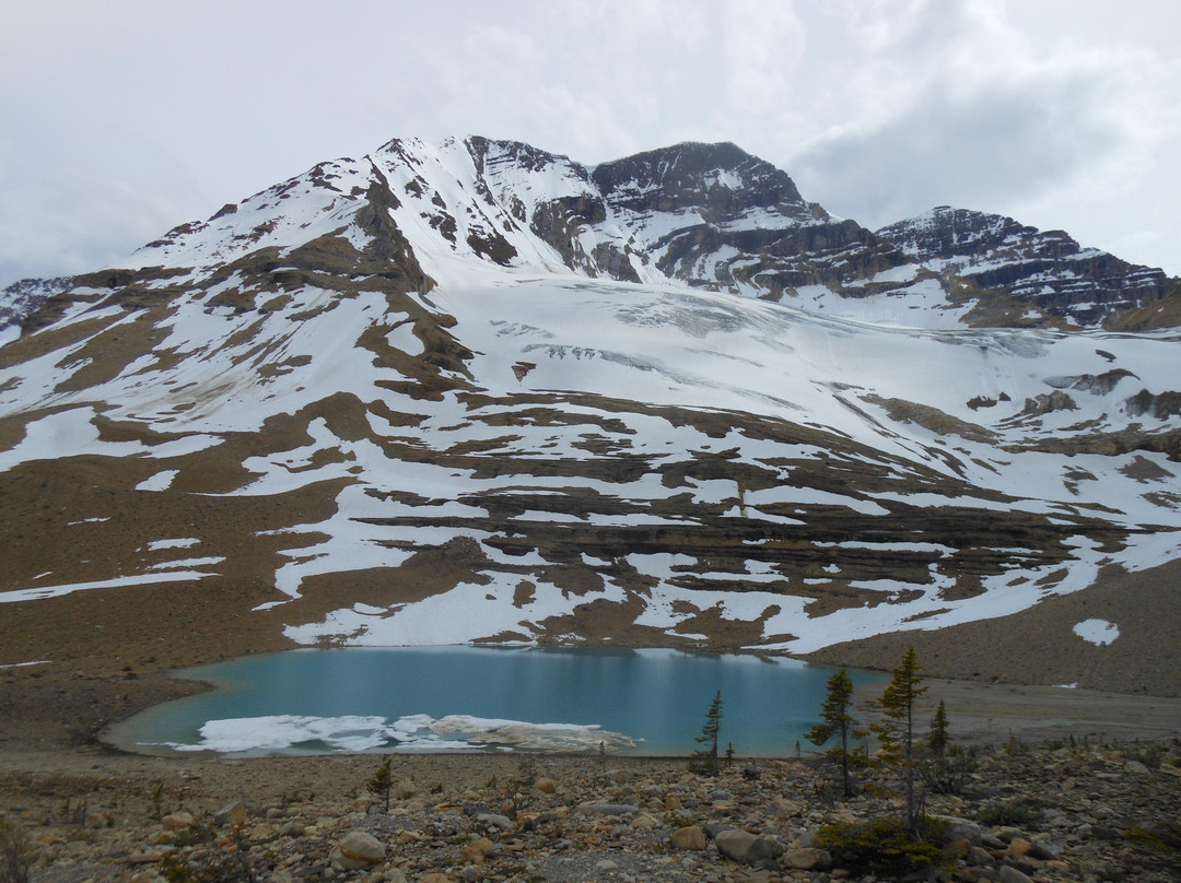 Self Propelled Adventures-戈尔登必去景点