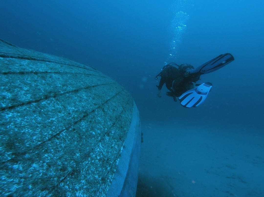 Kalamata Dive Center景点图片