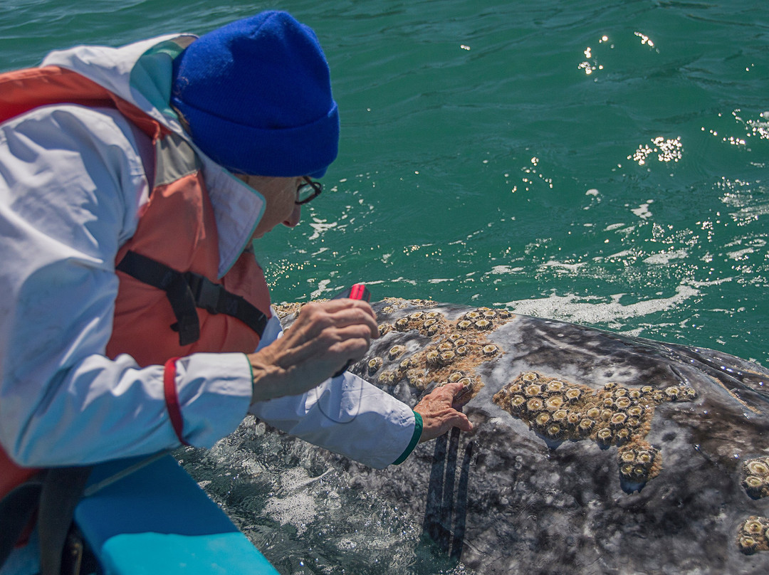 Desert Inn San Ignacio主图