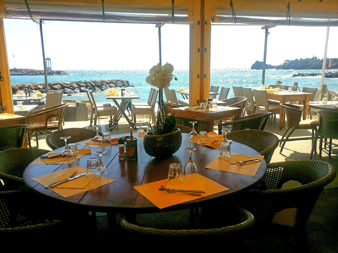 Le Trayas餐馆和美食-Le Panama