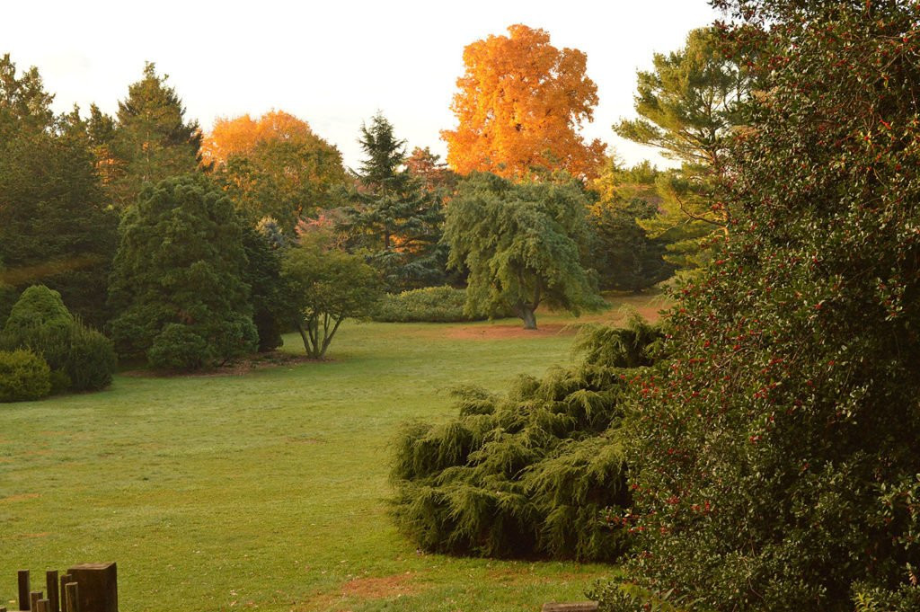 Rutgers Gardens景点图片