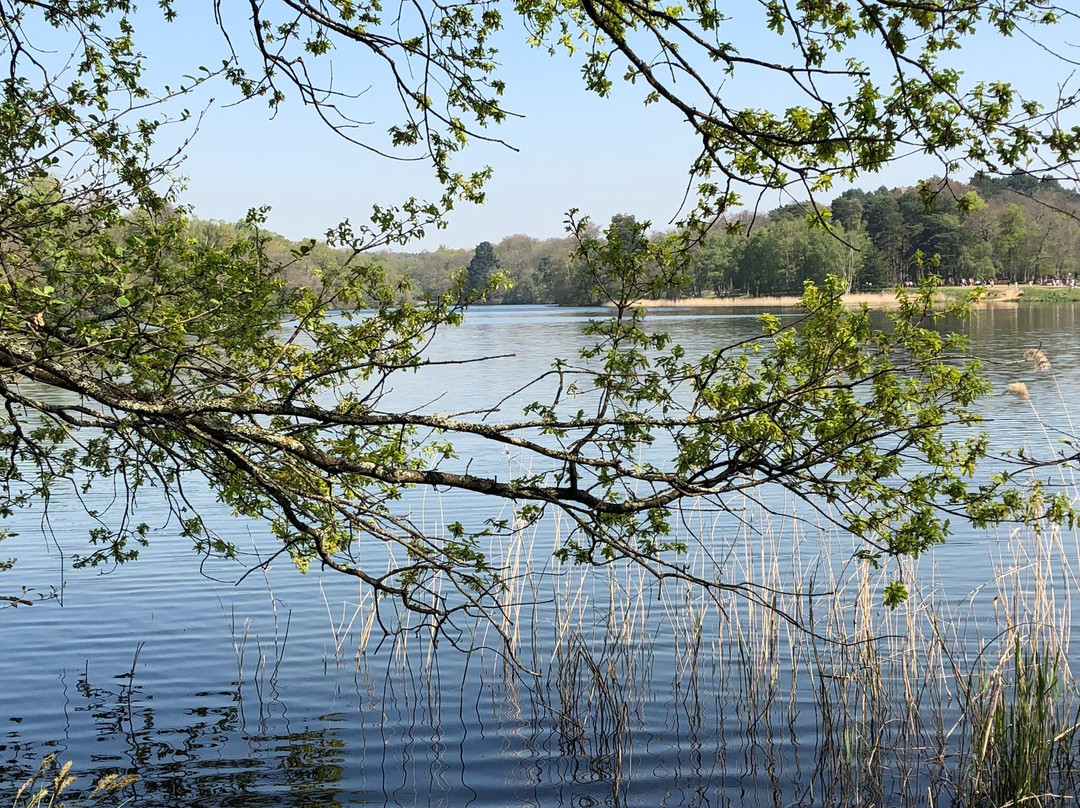 Virginia Water lake景点图片