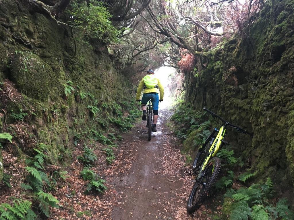 Rideandflow Mountain Biking Madeira Island-沙尔必去景点