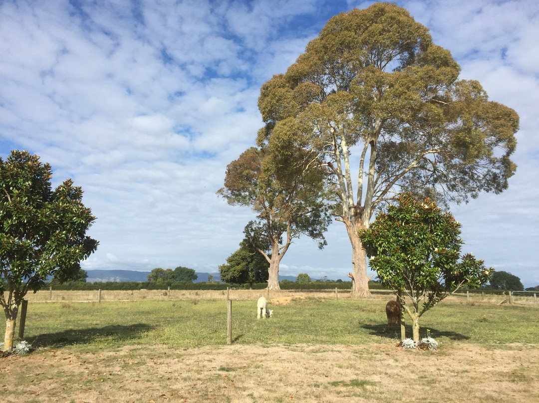艺术屋家庭旅馆主图