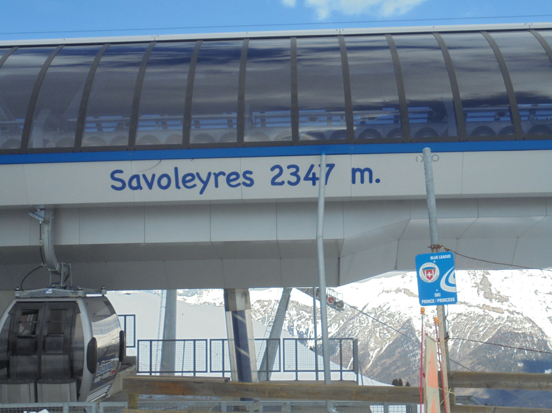 Piste de luge Savoleyres - La Tzoumaz景点图片