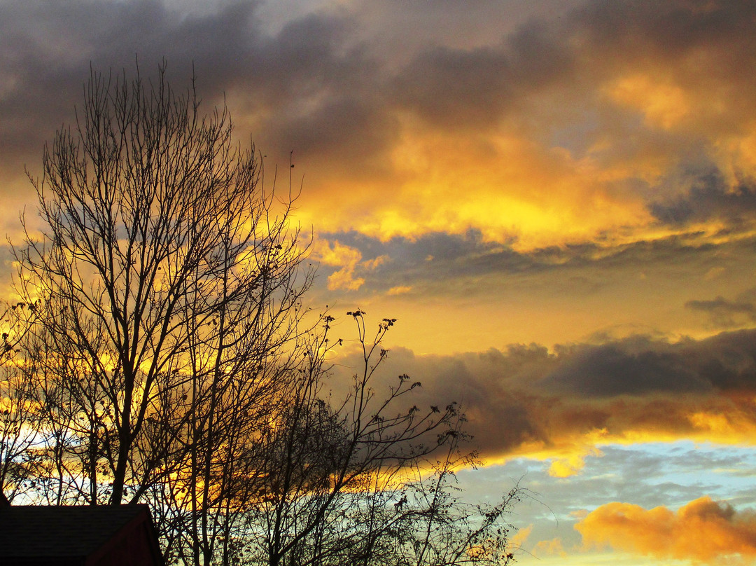 Brookfield Farm Bed & Breakfast主图