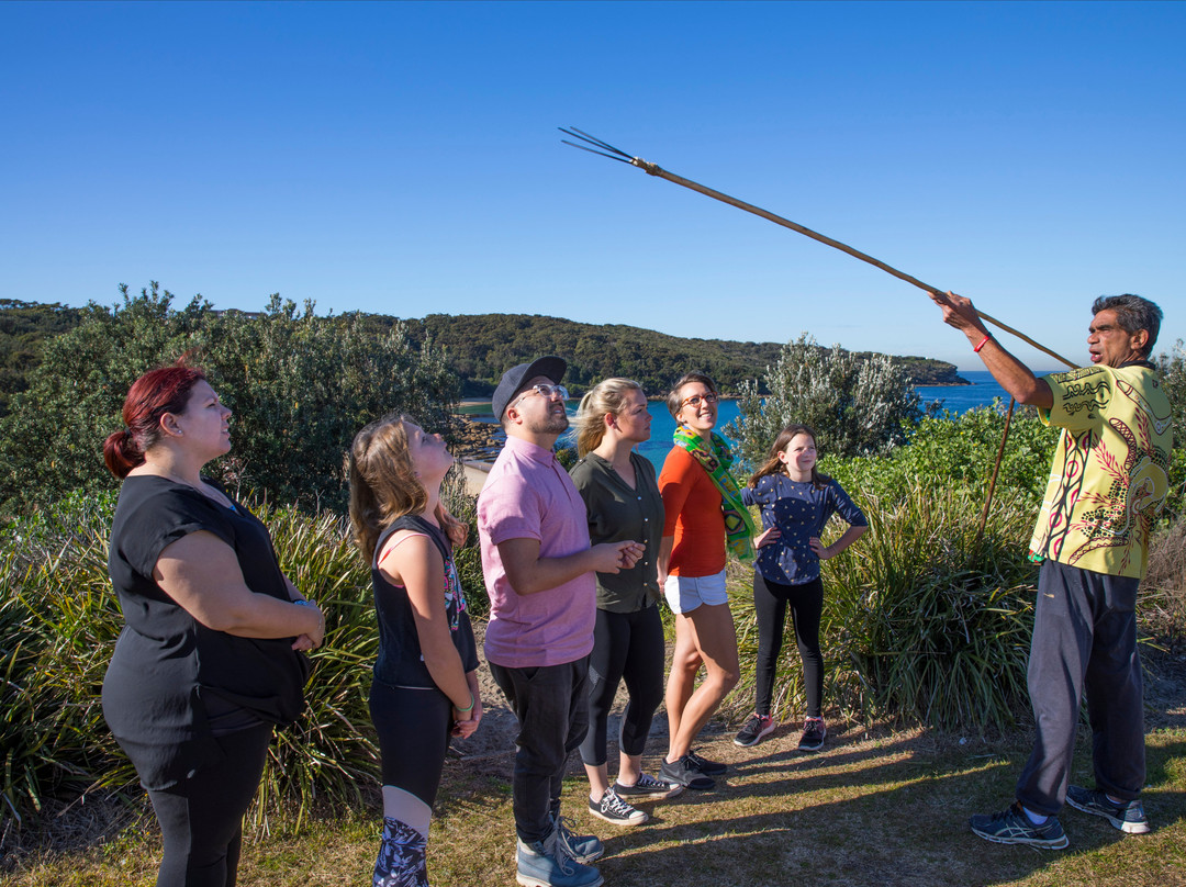 Kadoo Tours-悉尼必去景点