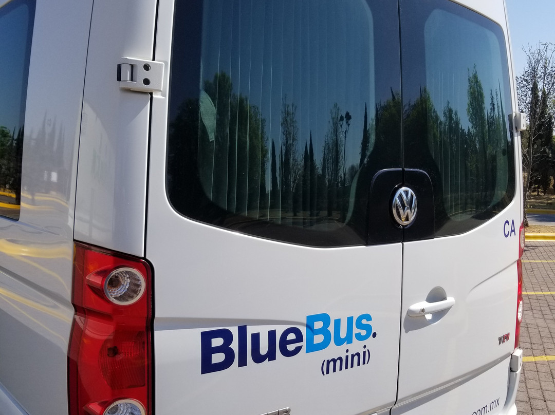 BlueBus.-墨西哥城必去景点