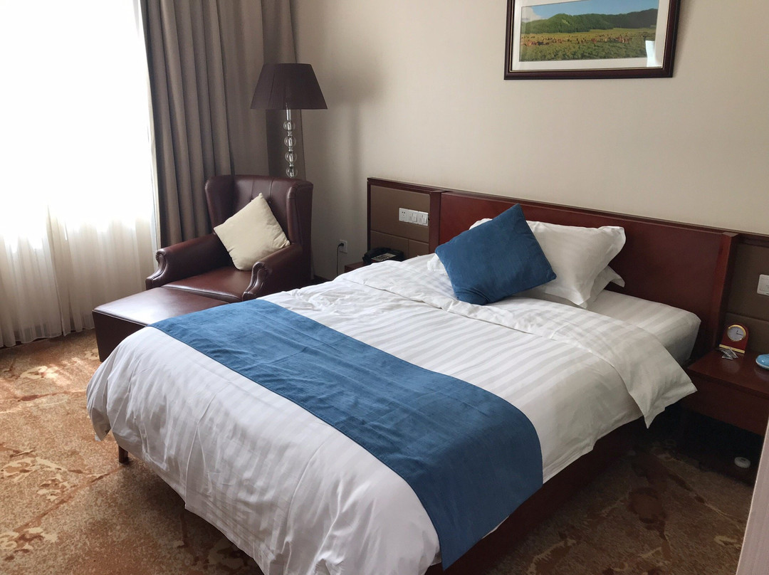 尼亚美酒店住宿-Niger Soluxe Hotel