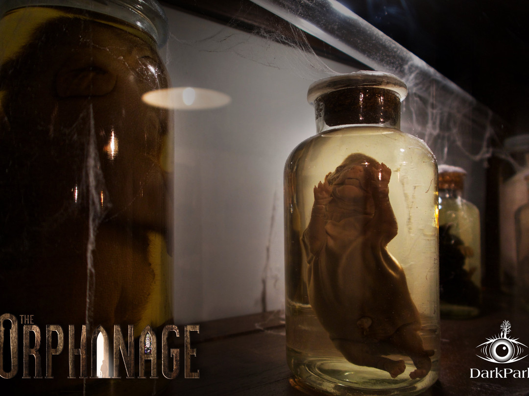 DarkPark-Zoetermeer必去景点