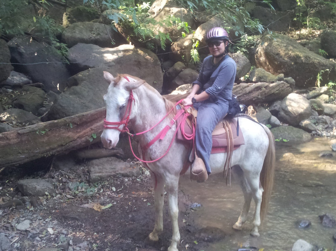 Finca Caballo Loco - Horse Tours Costa Rica景点图片