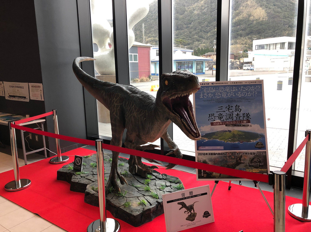 Miyakejima Tourist Association-三宅村必去景点