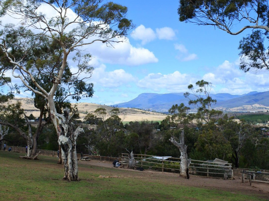 Let's Show You Tasmania - Day Tours景点图片