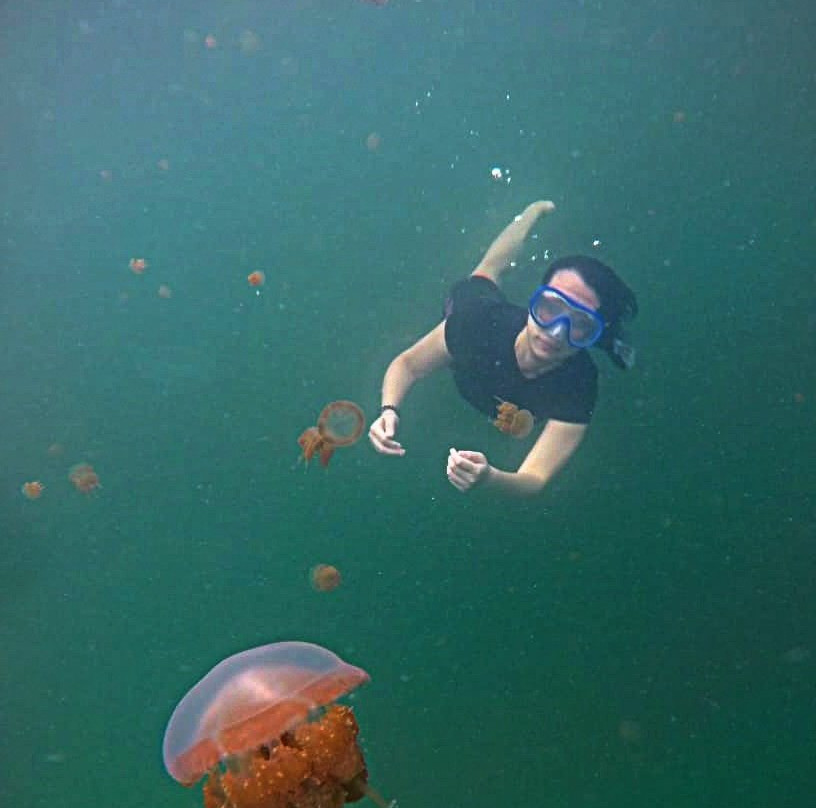 Sting-less Jellyfish Lake-Pulau Kakaban必去景点