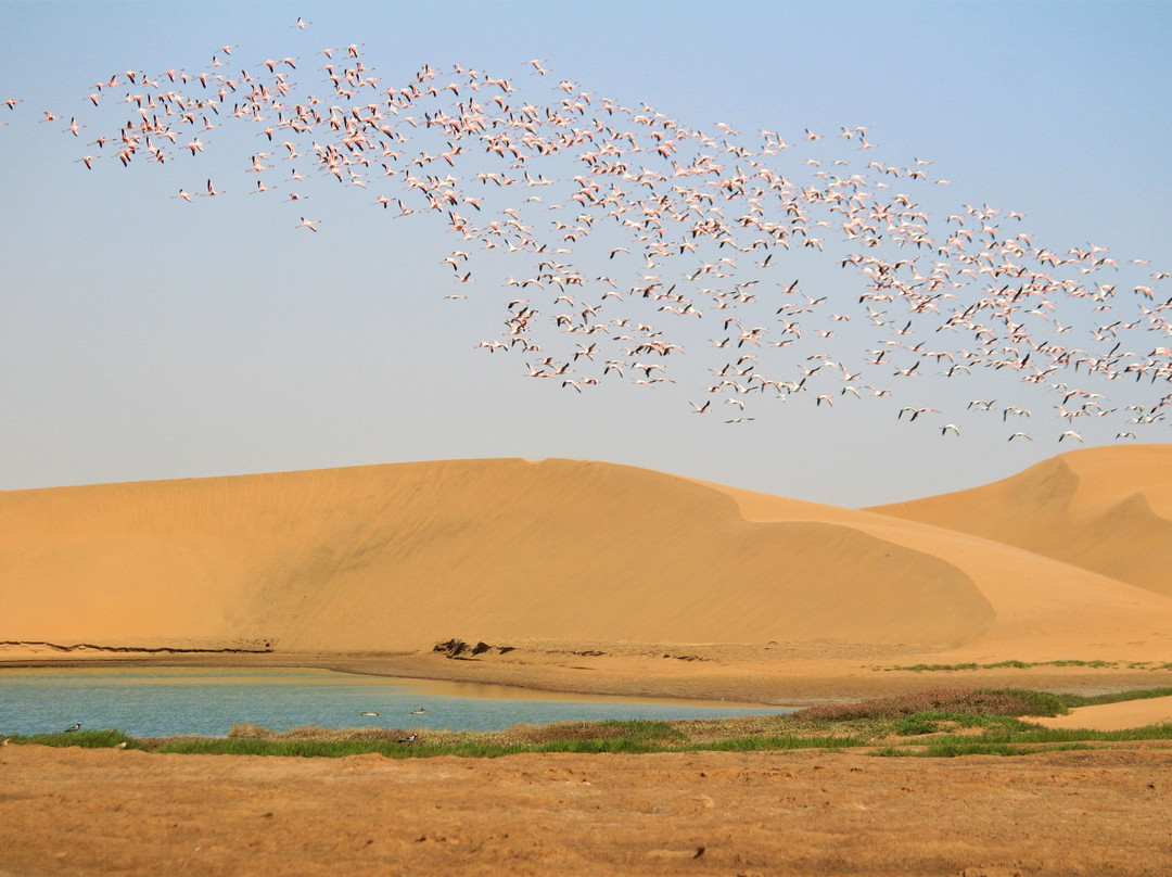 Rafiki Tours and Safaris-温德和克必去景点