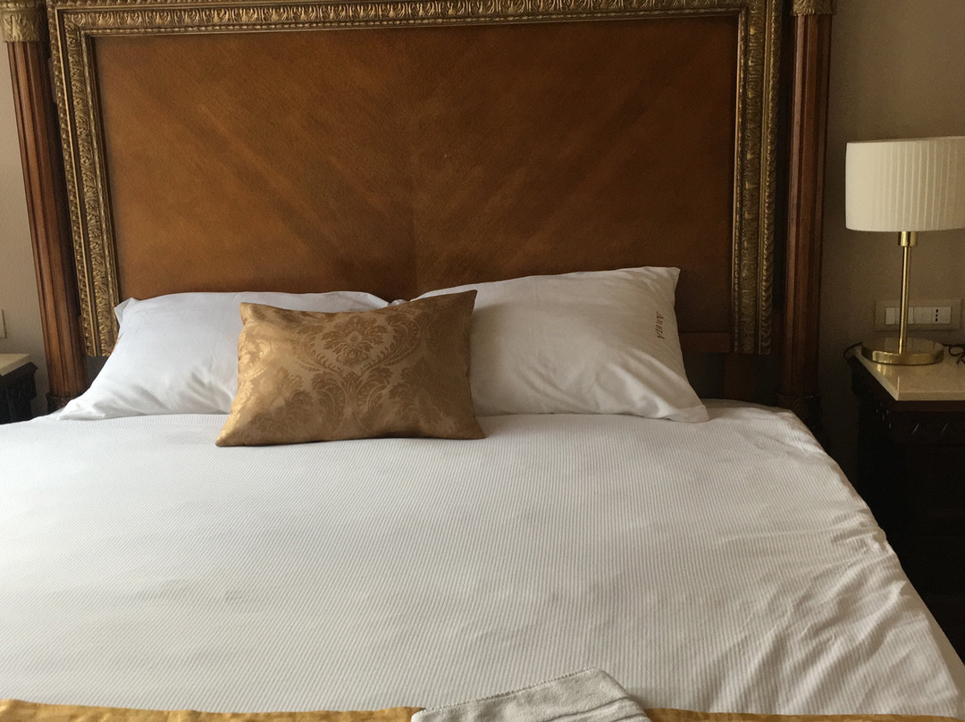 B&B Arbia Dorka Luxury Palace主图