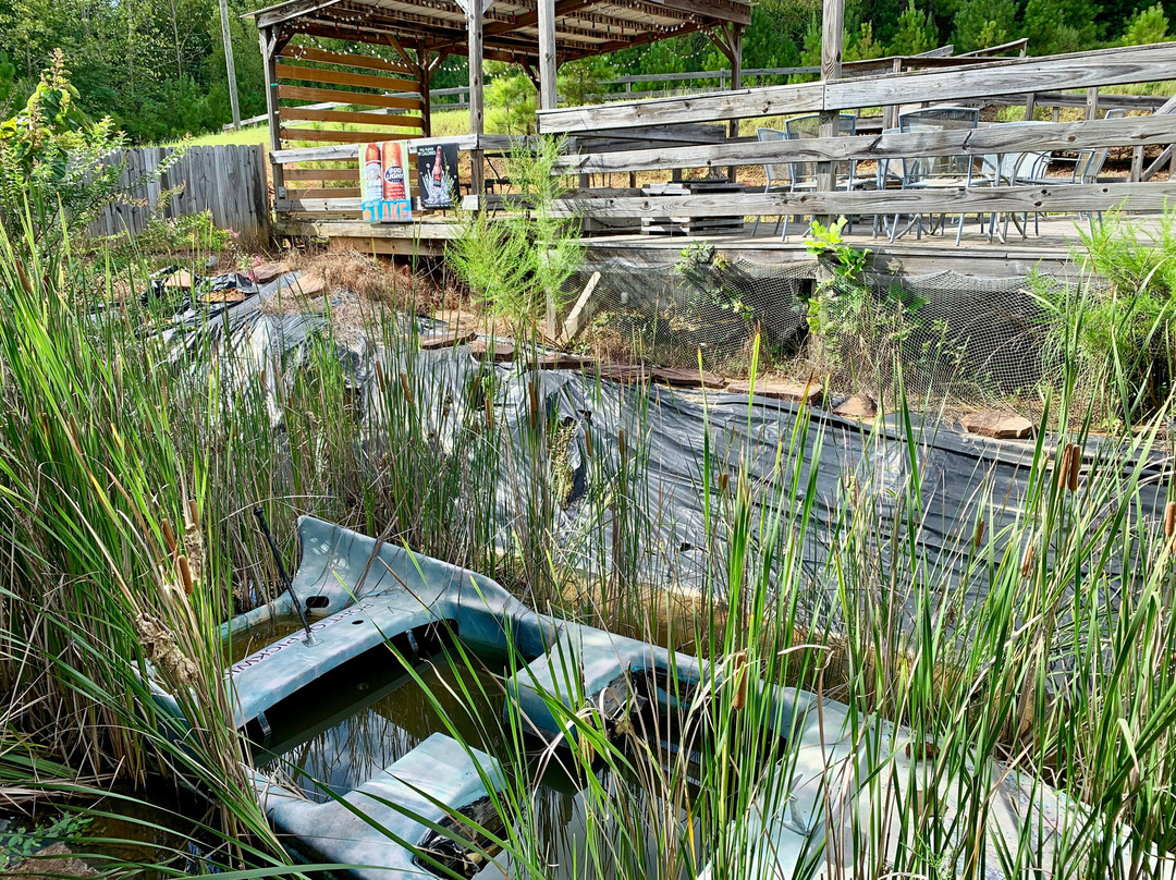 Dock D's Pizza and Patio