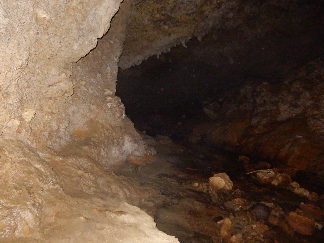 Shimuku Gama Cave景点图片