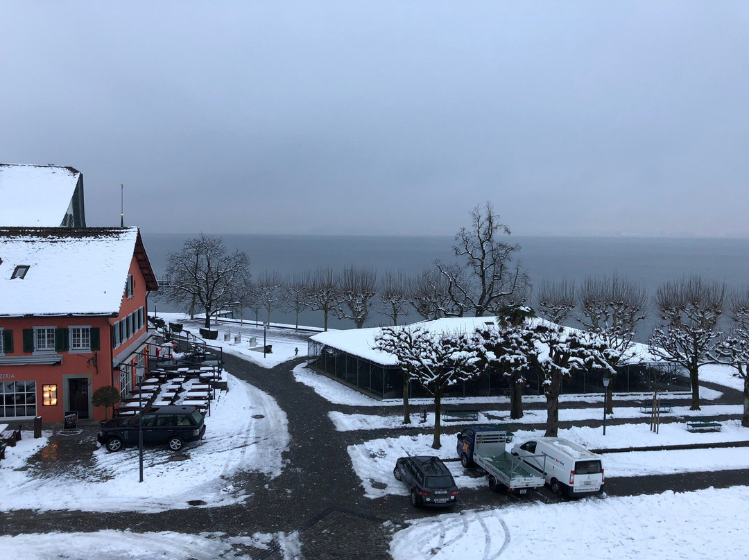 Hotel Lowen am See Zug主图