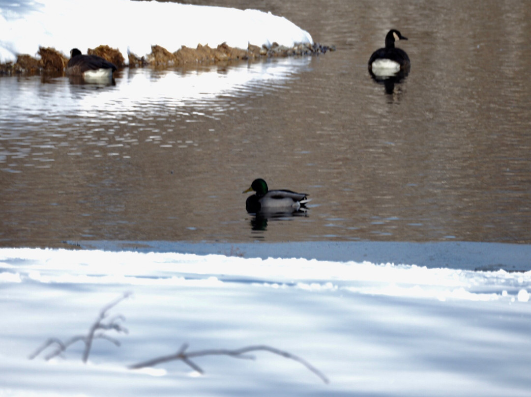 Carriage Hill MetroPark-代顿必去景点