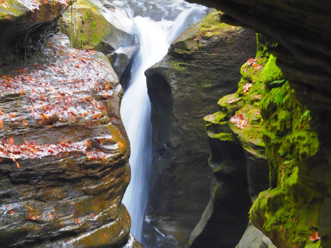 Boch Hollow State Nature Preserve-洛根必去景点