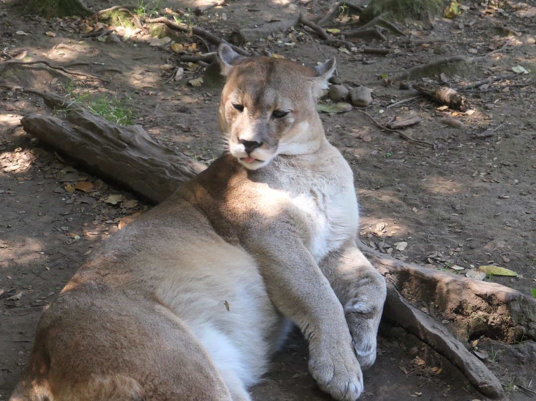 Kalkin Expediciones-巴拉斯港必去景点