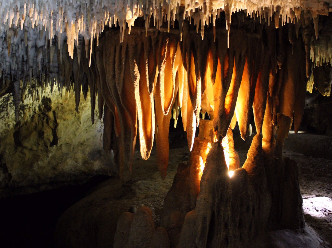 Buchan Caves Reserve景点图片