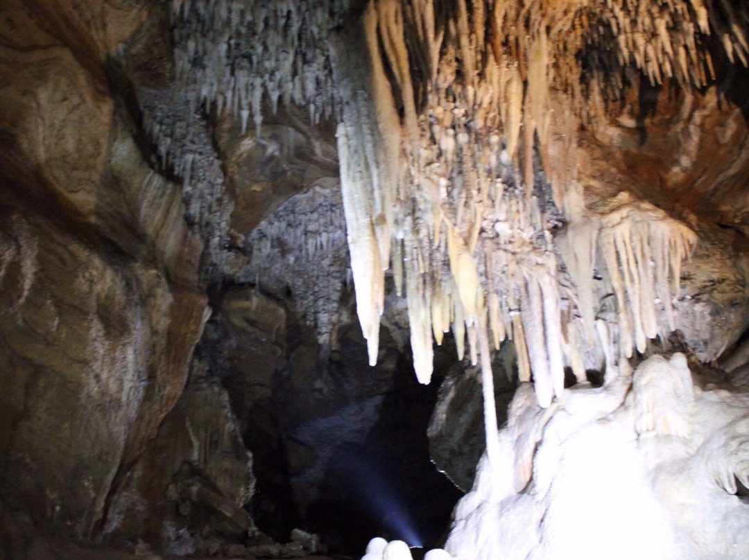 Buchan Caves Reserve景点图片