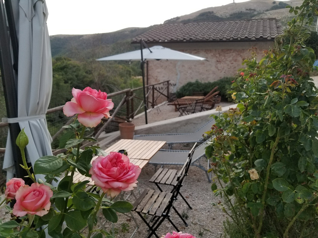 The Black Truffle Lodge主图