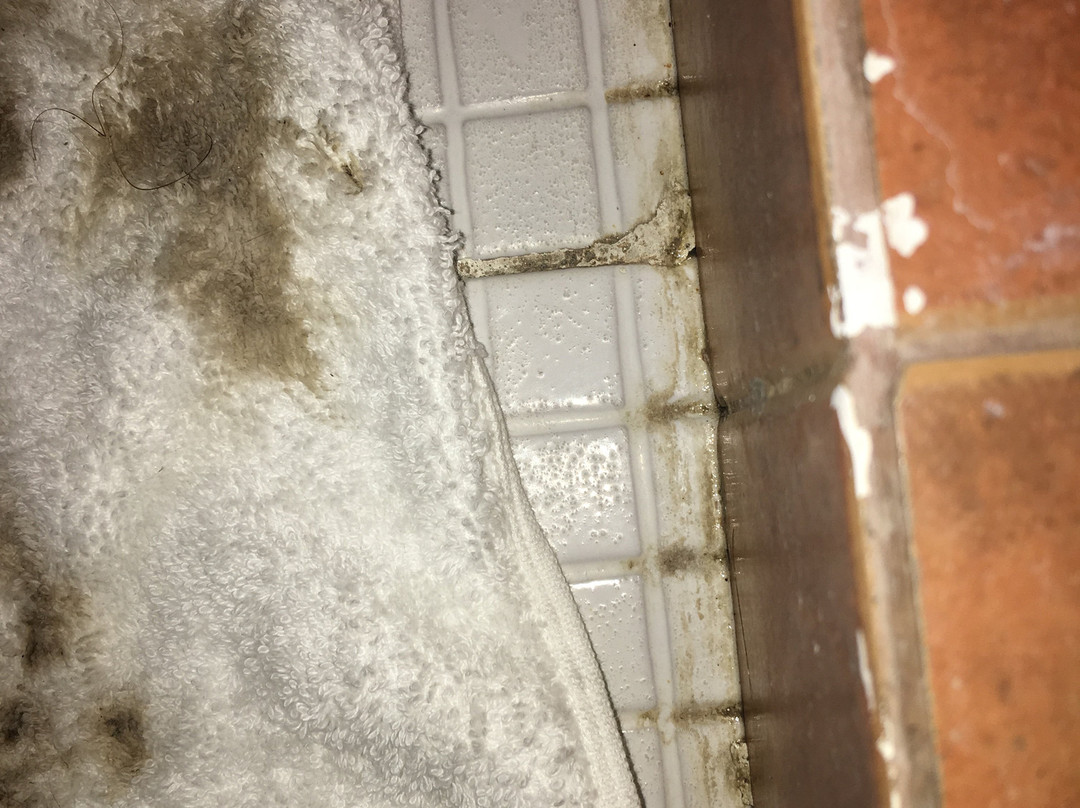 Casa Antigua Panama Hotel & Rooftop主图