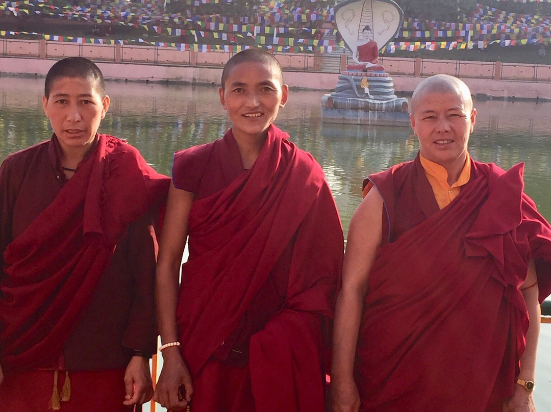 Bodhi Tree-菩提伽耶必去景点