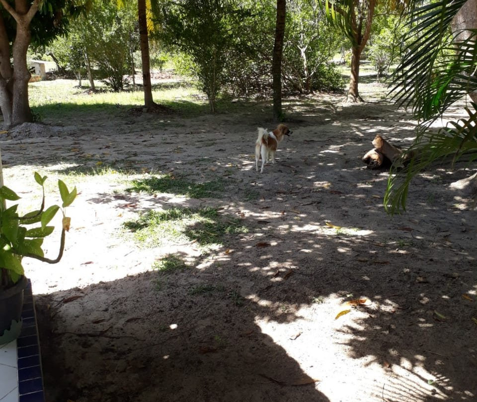 Caueira Beach-Itaporanga d'Ajuda必去景点