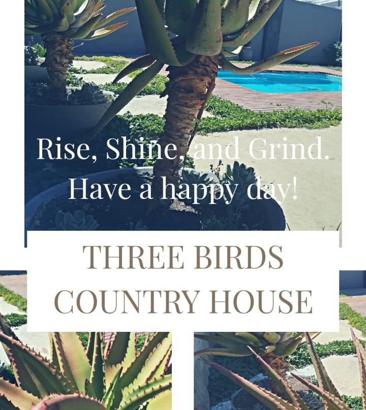 Three Birds Country House主图